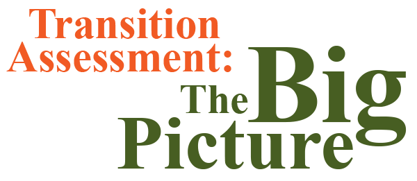 Transition Assessment: The Big Picture